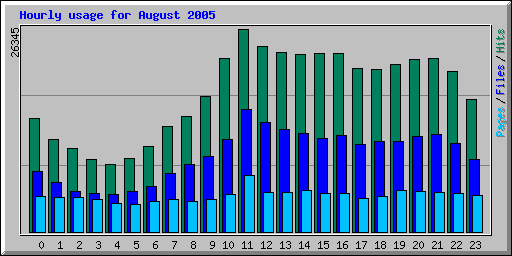 Hourly usage for August 2005