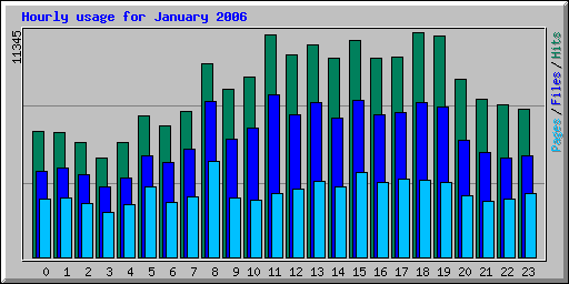 Hourly usage for January 2006