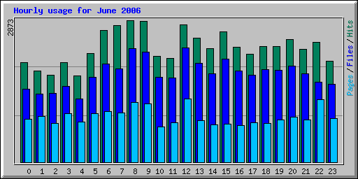 Hourly usage for June 2006